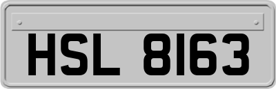 HSL8163