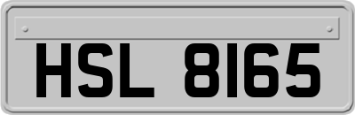 HSL8165