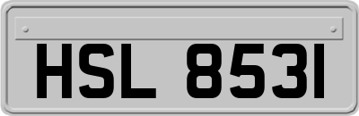 HSL8531