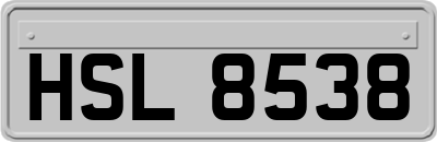 HSL8538