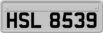 HSL8539