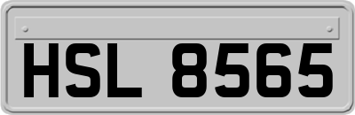 HSL8565