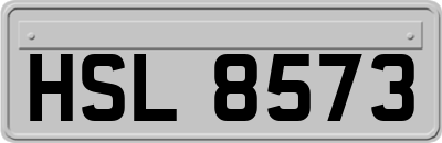 HSL8573
