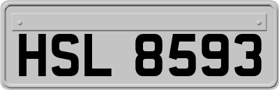 HSL8593