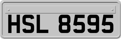 HSL8595