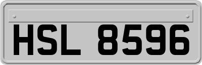 HSL8596