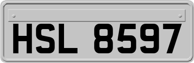 HSL8597