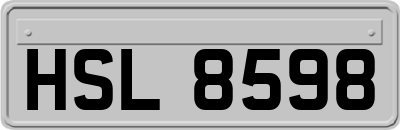 HSL8598
