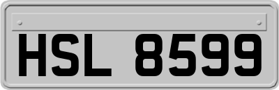 HSL8599