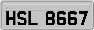 HSL8667