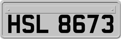 HSL8673