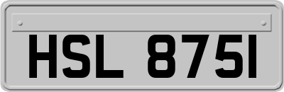 HSL8751