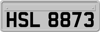 HSL8873