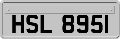 HSL8951