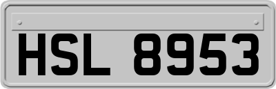 HSL8953