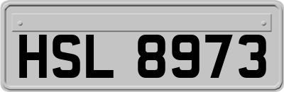 HSL8973