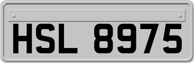 HSL8975