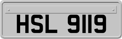 HSL9119