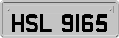HSL9165