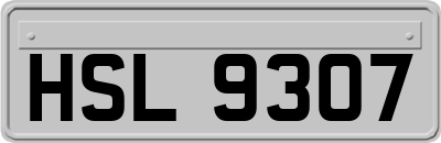 HSL9307