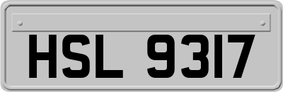 HSL9317