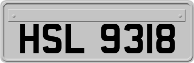 HSL9318