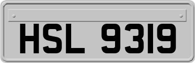 HSL9319