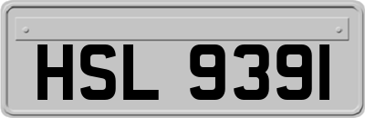 HSL9391