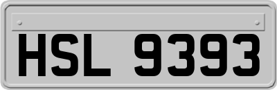 HSL9393