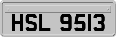 HSL9513
