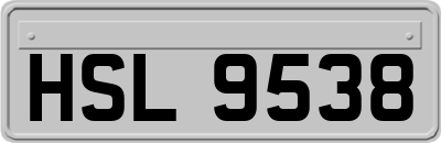 HSL9538