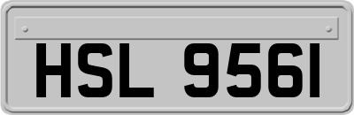 HSL9561