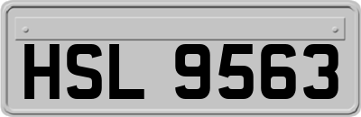 HSL9563
