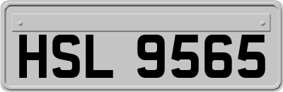 HSL9565