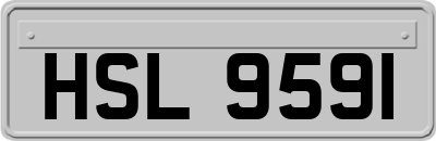 HSL9591