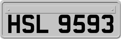 HSL9593