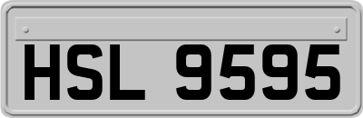 HSL9595