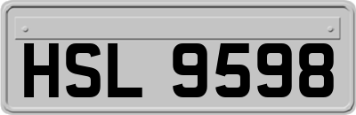 HSL9598