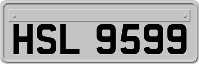 HSL9599