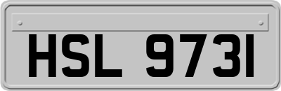 HSL9731