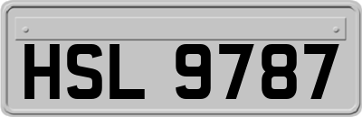 HSL9787