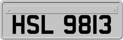 HSL9813