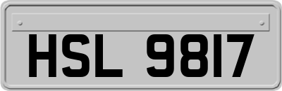 HSL9817