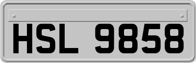 HSL9858