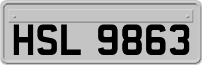 HSL9863