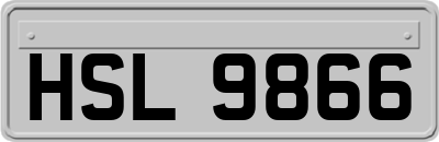 HSL9866