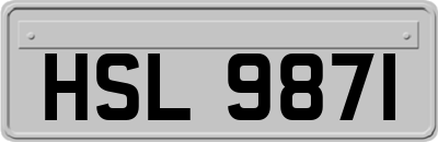 HSL9871