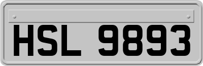 HSL9893