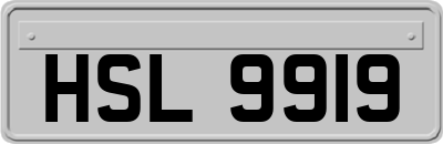 HSL9919