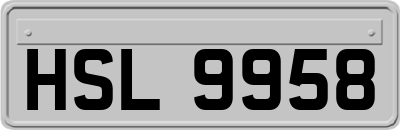 HSL9958